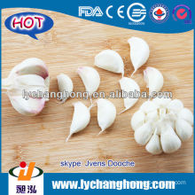 china fresh garlic for kitchen